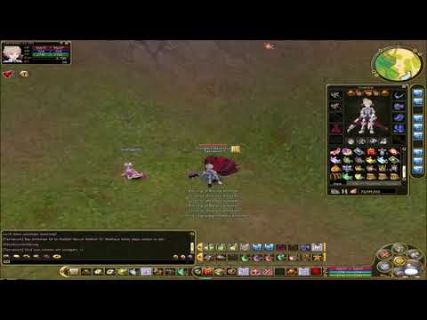 Flyff Box Opening - 43 Piyoco Random + 80 Card Boxen