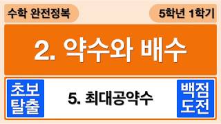 [개념수학] 5. 최대공약수 - 5학년 1학기 수학 2단원 약수와 배수