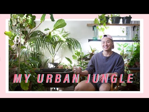 MY INDOOR JUNGLE TOUR (Living with 300+ Houseplants)