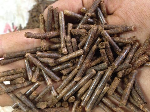 Agricon Pelletizing Machine making organic pellets