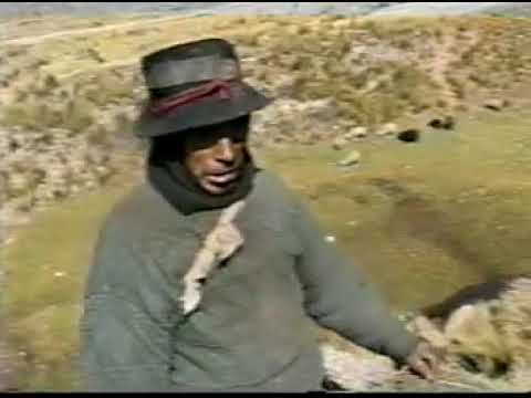 Rio Mantaro, rio muerto por la contaminación minera