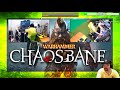 Hra na PS4 Warhammer: Chaosbane