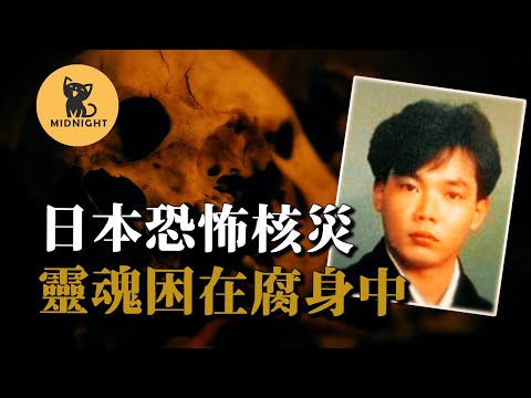 內外八大核心心得範例