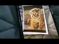 Sesame Street T Tiger Song