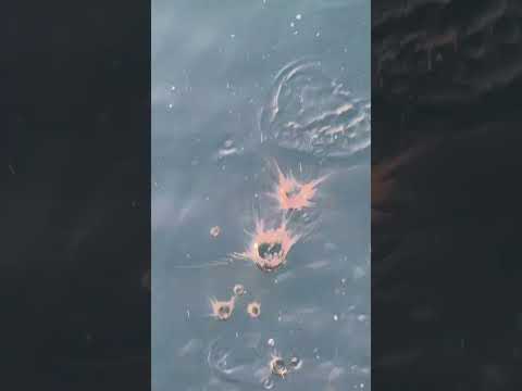 3月1日日曜日、今朝のアジの群れ。和歌山県みなべ町堺大堤防先内側。見えているはマルアジですが、この底に真アジが群れています。カマスもありますが、なかなか食いつきません。