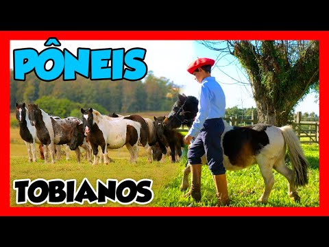 Poneis Tobianos da Cala Bassa.