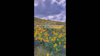 Download lagu Story wa | Sholawat Birosulillahi Wal Badawi mp3