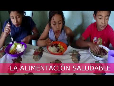 Strengthening the Nutrition Program, 63 children