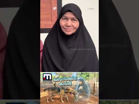 പ്രിയപ്പെട്ട ഉമ്മയുടെ ഖബറിടത്തിന് കാവലായി ഒരു തെരുവ് നായ | Stray Dog | Dog Love | Malappuram