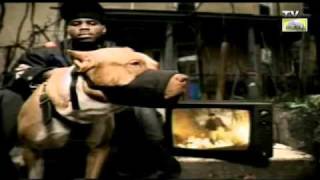 Aaliyah feat DMX - come back in one piece (HD).flv