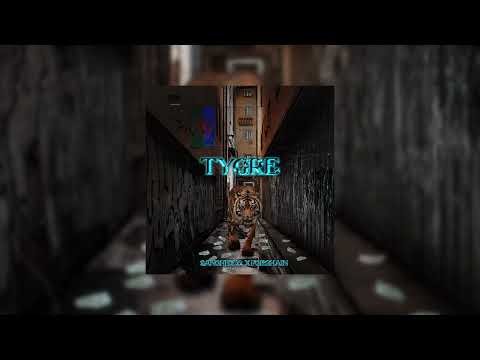 Sanchez 22 x FckChain - TYGRE (Ulice Original)