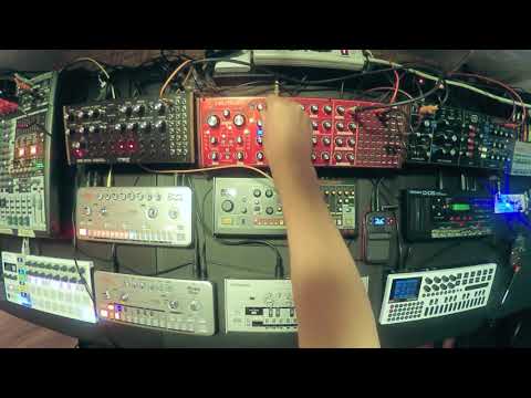 featuring TB-03 TR-08 D-05 PO-12 - Live Electro Jam - 2019-08-13