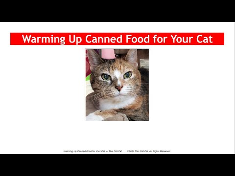 Warming Up Canned Cat Food for Your Cat  - This Old Cat Videos No. 2