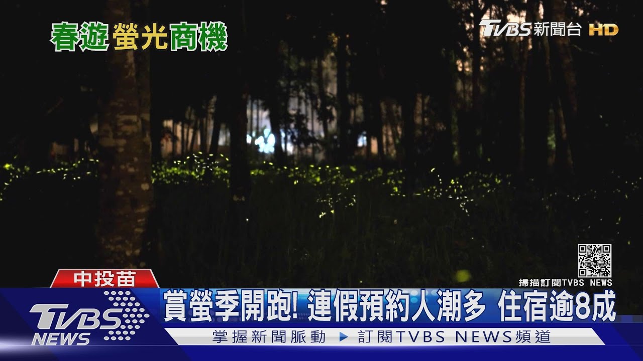 賞螢季開跑!連假預約人潮多 住宿逾8成