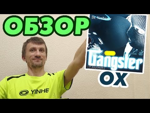 Disruptive LONG PIPS with excellent BLOCK and SPIN REVERSAL: Dr Neubauer GANGSTER OX review & test