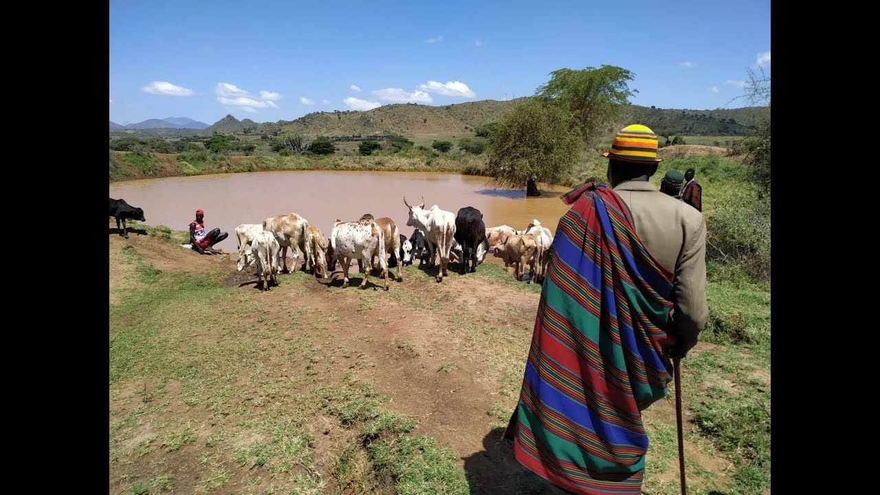 Hirten - Hüter der Erde