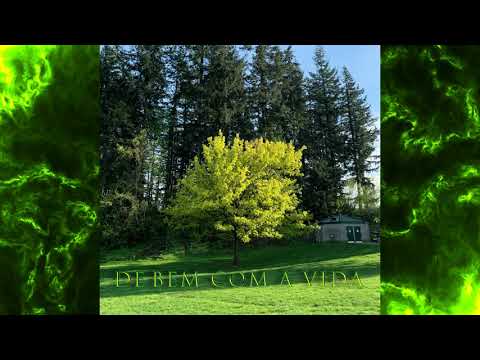 MC Renan R5 - De Bem Com a Vida (@prod.luzz)