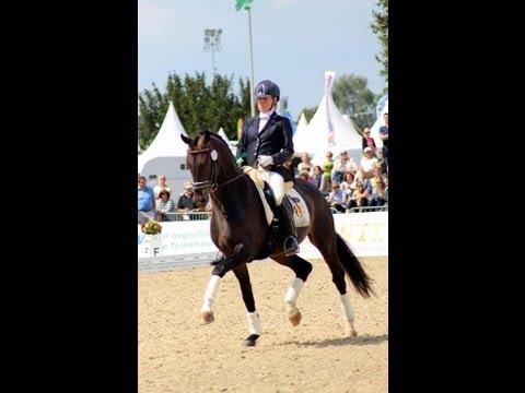 Bailamos Biolley VERDEN WM 2013 Rider KATRIEN VERREET
