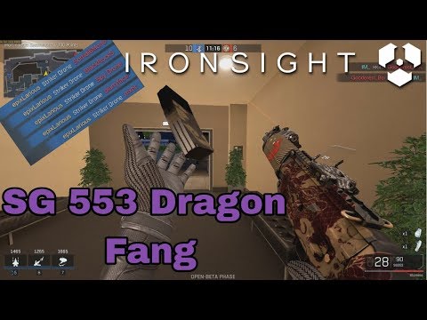 My favorite gun so far ! SG53 Dragon Fang - 42 Kills TDM