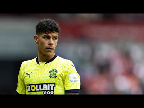 Mateus Fernandes - Southampton Highlights | 2025