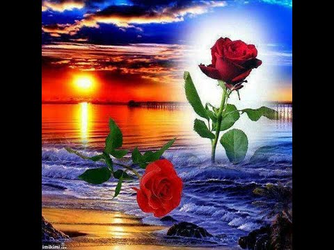 Seguiré tus huellas - Miguel Morales