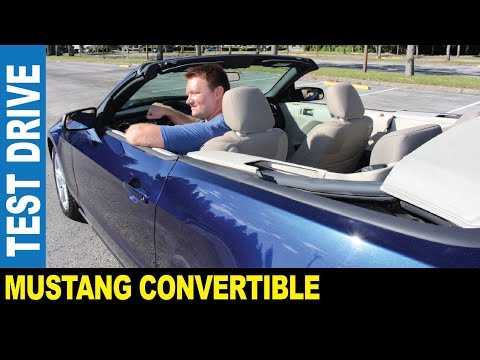 2010 Ford Mustang convertible American pony car rear wheel drive | Jarek in Clearwater Florida USA