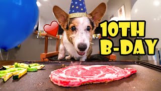 BENIHANA BBQ for My Corgi's 10th Birthday || Life After College: Ep. 768