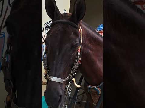 Una visita al Municipio de Gómez Plata, Antioquia.