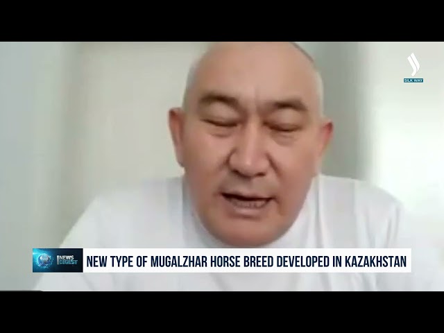 Қазақстанда мұғалжар жылқы тұқымының жаңа түрі таныстырылды