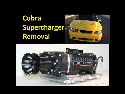 03/04 Cobra Supercharger removal / install
