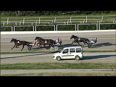 Napoli Trotto 31/01/2023 - 5ª corsa