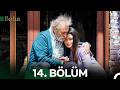 Baba 14 Bölüm