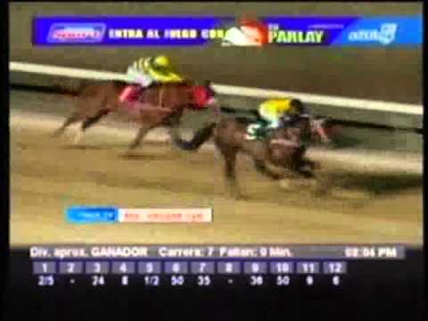 Resumen Jueves, 10 de Enero de 2013 - Valencia