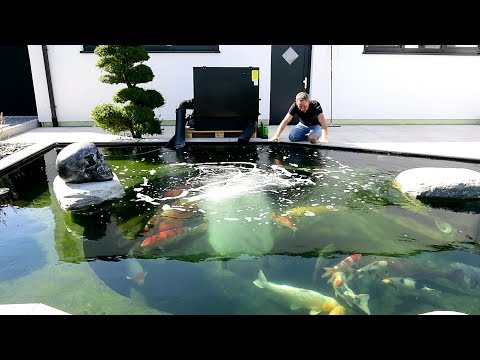 Modern Koi Blog #2684 - A good idea for aerator placement