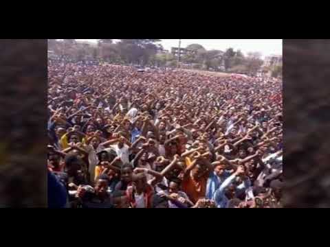 Guyyaa Gootota Oromoo walaloo waaqoo Taammiruu