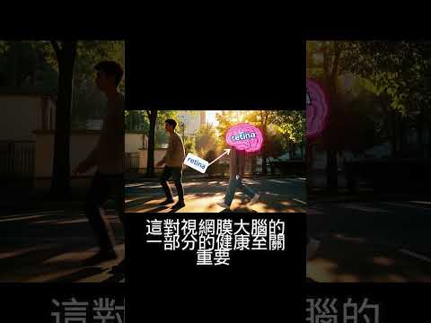 步行提升视力，增加大脑供氧量，保护眼睛肾脏和神经！