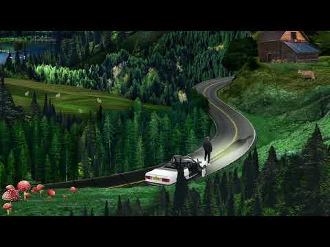 Sam Wills - Lay Down (Official Audio)