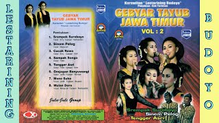 Download lagu Karawitan Lestarining Budoyo Malang - Full Album Tayub Malang Vol. 2 mp3
