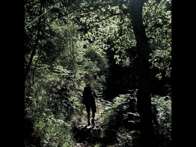 Do Bestan&ccedil;a &agrave;s Portas Montemuro