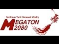 Megaton 2080 