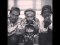 Inf Beams Remix - Flatbush Zombies 