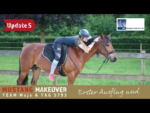 Mustang Makeover 2022 - So cool können Mustangs sein ❤️ | Team Maja Update 5