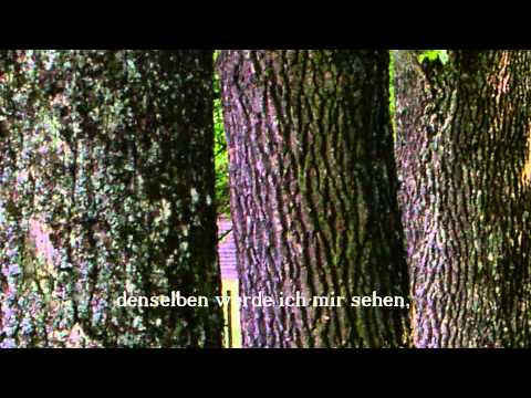 Art Cappella: Johann Michael Bach - Ich weiss, dass mein Erlöser lebt