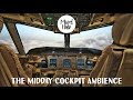 Airplane White Noise - The Midday Cockpit Ambience