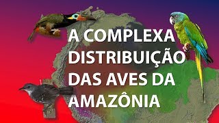 A COMPLEXA DISTRIBUIÇÃO DAS AVES DA AMAZÔNIA (ENGLISH SUBTITLES)