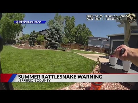 JeffCo sheriffs warn of increased snake activity