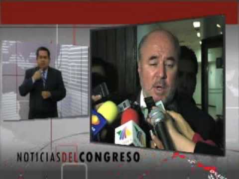 Resumen Lengua de Señas Mexicana del 8 Enero de 2010