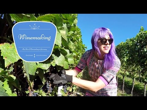 download lagu mp3 mp4 German Port Wine, download lagu German Port Wine gratis, unduh video klip German Port Wine
