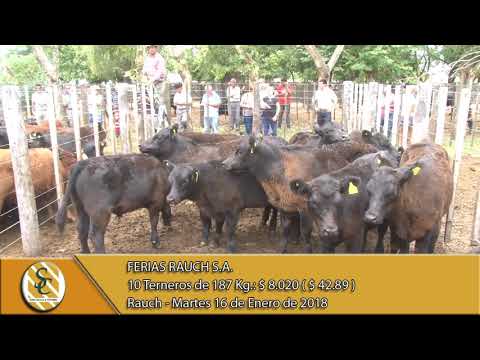 16-01-18 Venta de Macho - Ferias Rauch - Rauch