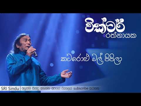 Katrol Mal Pipila | කටරොළු මල් පිපිලා | Victor Rathnayake | SRI Sindu